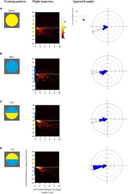 Approach Direction Prior to Landing Explains Patterns of Colour Learning in Bees